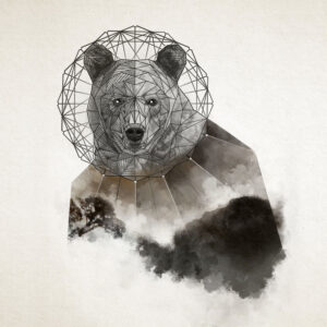 Ilustracja niedzwiedzia