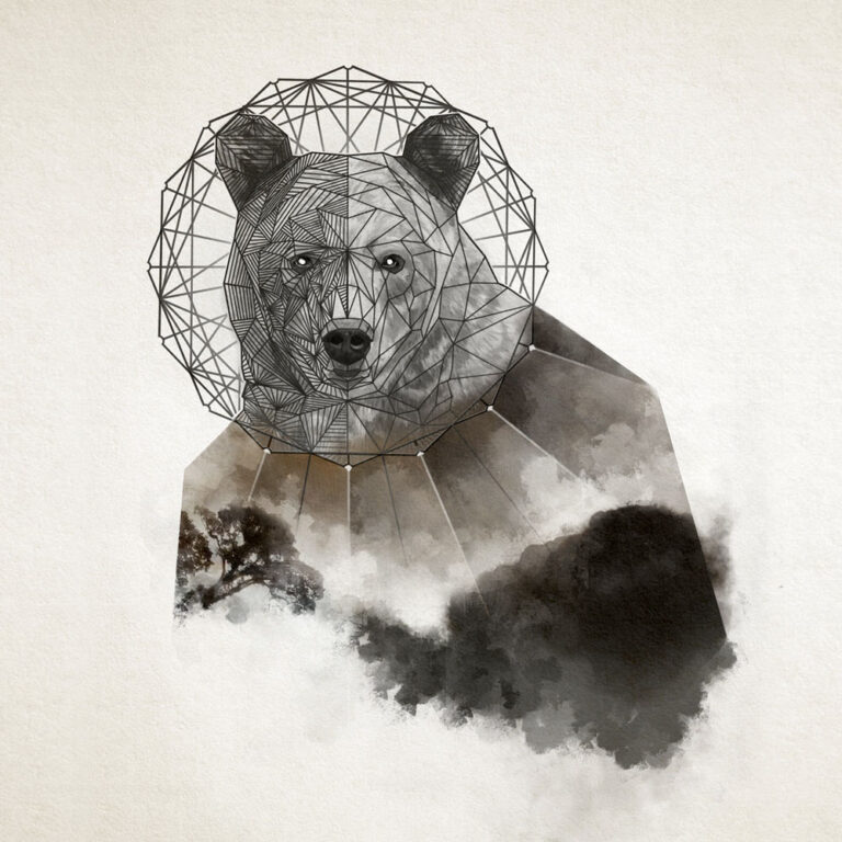 Ilustracja niedzwiedzia