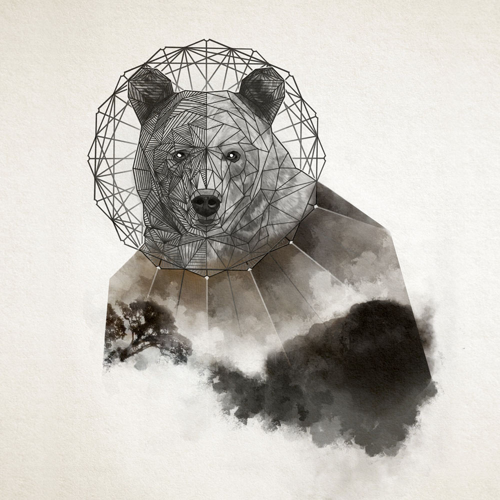 Ilustracja niedzwiedzia